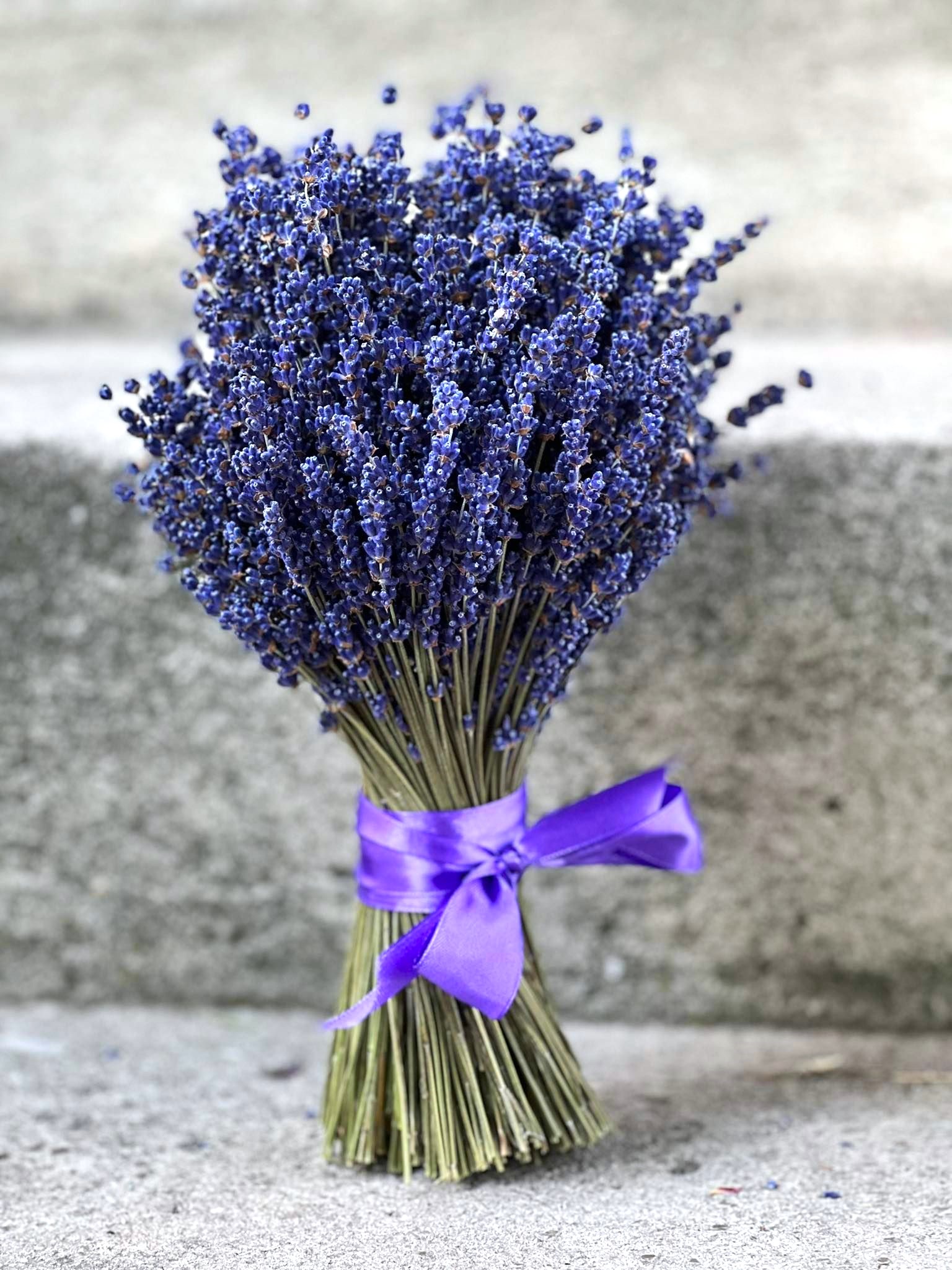 Bukiety Z Suszonej Lawendy Bukieciki Z Lawendy Sklep Lavendel Bukiety Z Suszonej Lawendy Bukieciki Z Lawendy Sklep Lavendel