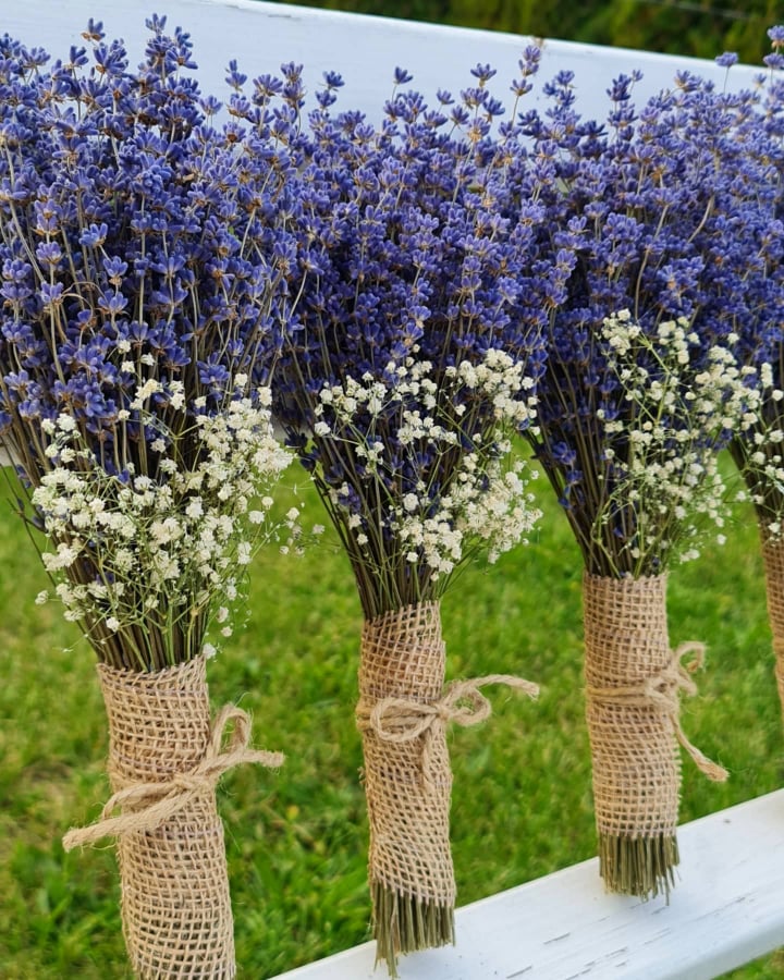 Lavendel NaturHaus Plantacja Lawendy Sklep Internetowy Z Lavendel NaturHaus Plantacja Lawendy Sklep Internetowy Z
